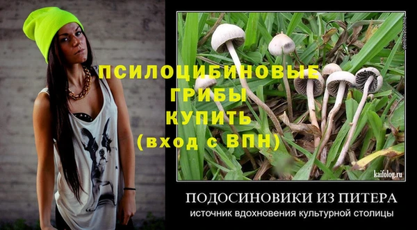 ешки Магас