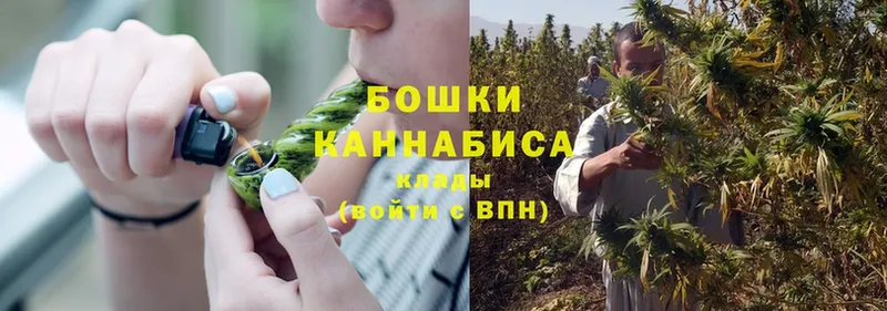 OMG зеркало  Сосновка  Марихуана SATIVA & INDICA 